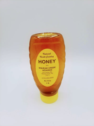 Honey 1lb plastic squeeze bottle